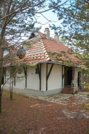 Divčibarka